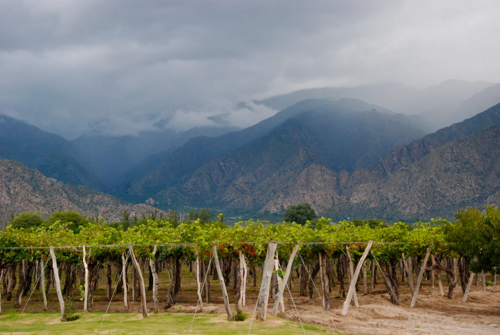 A winery near Cafayate, Salta Province (Argentina).