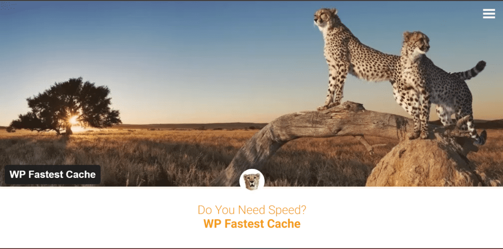 Pluging WP Fastest Cache